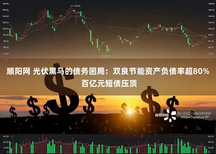顺阳网 光伏黑马的债务困局：双良节能资产负债率超80% 百亿元短债压顶