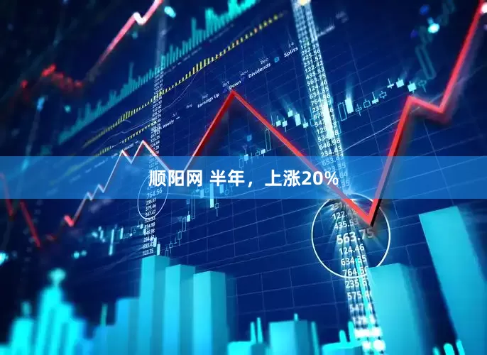 顺阳网 半年，上涨20%
