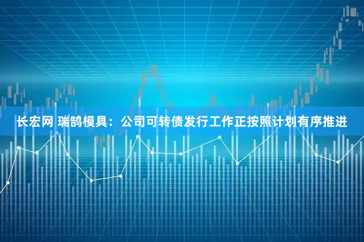 长宏网 瑞鹄模具：公司可转债发行工作正按照计划有序推进